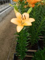 [5092 Menorca No01.JPG]